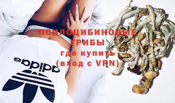 прущие крисы Корсаков
