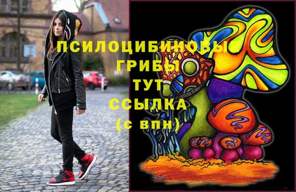 гидра Костерёво